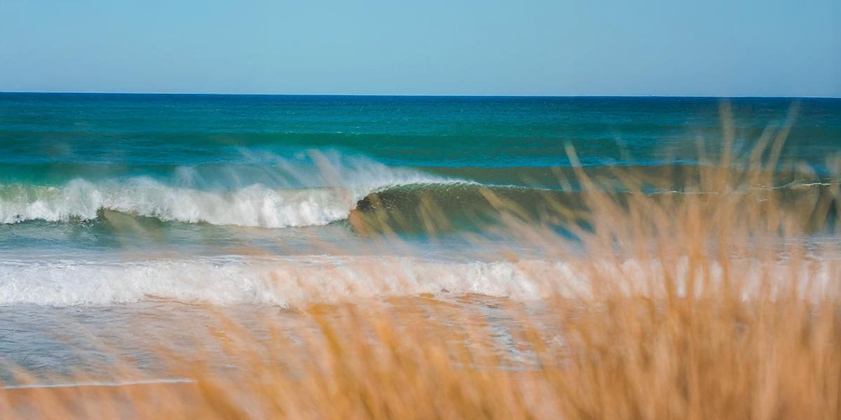 WhatsApp Image 2026-01-06 at 14.44.36(1)